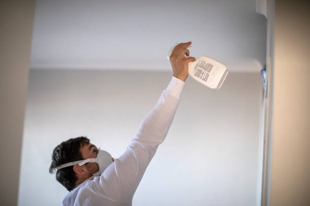 Best Mold Remediation Experts  in Miami, AZ